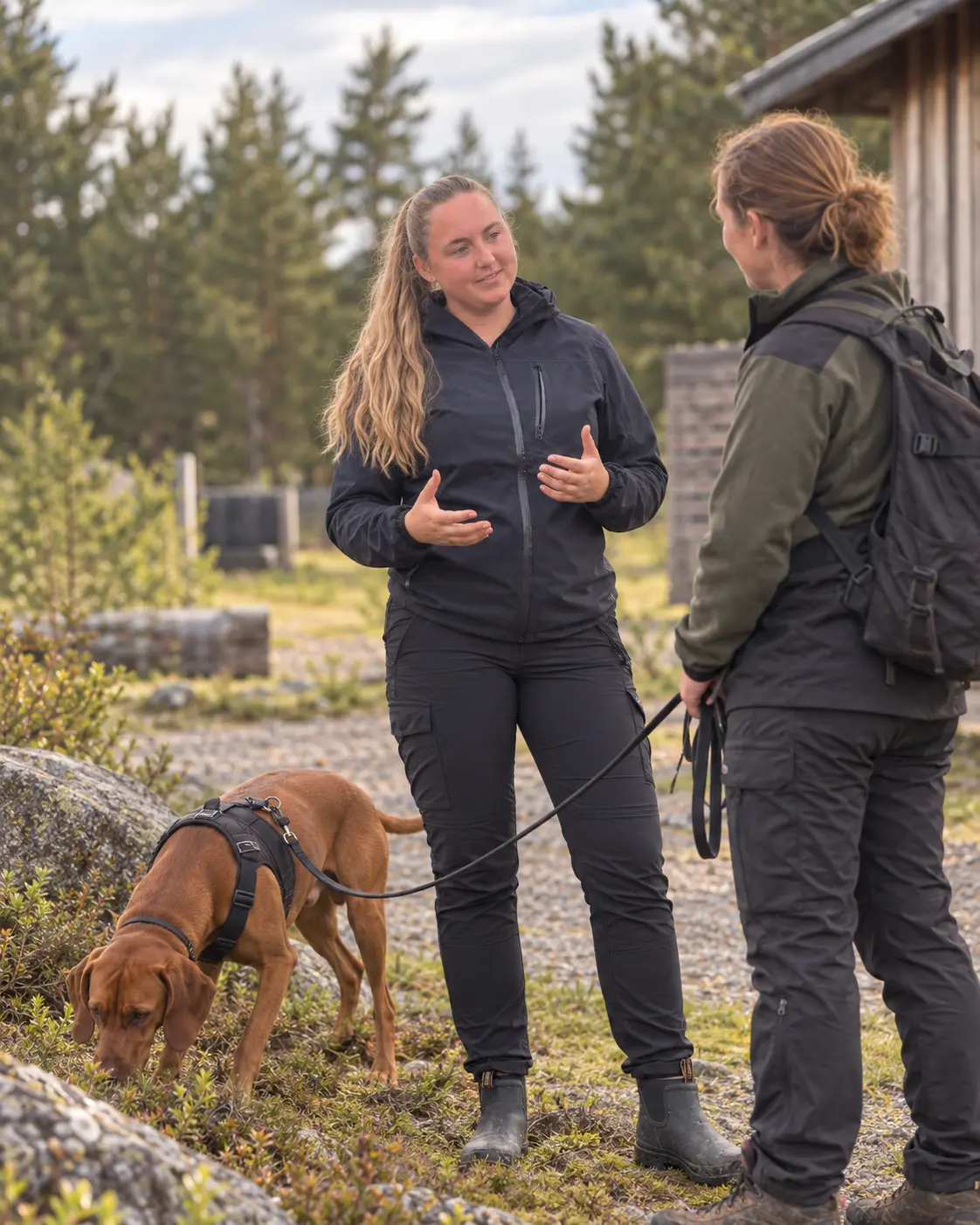Handledning under ett pågående sök utomhus